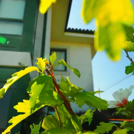 بيت للعطل Nice House Near Santiago De Compostela And Beach Brion